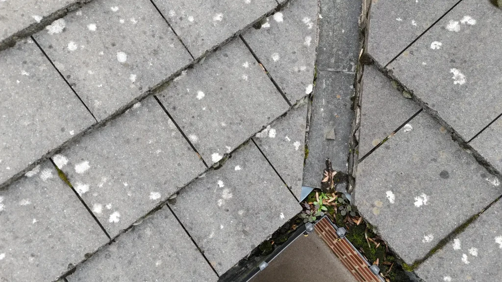Roof Valley Leak
