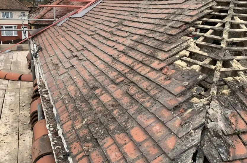 Roof Defect