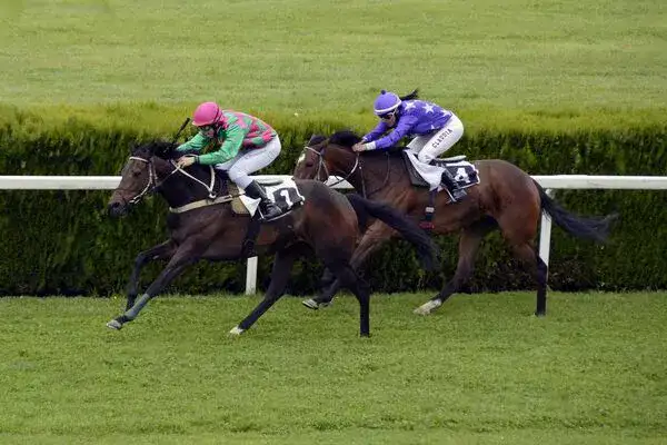 Horse racing at Aintree