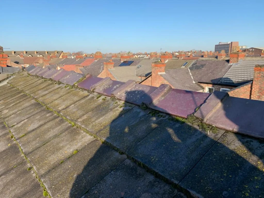 Roof Replacement